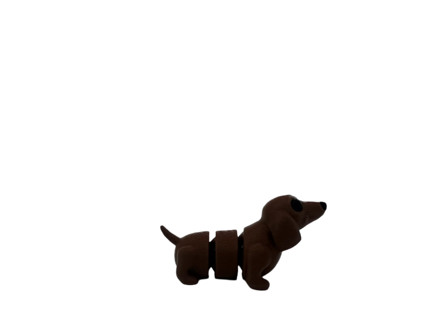 Sausage Dog