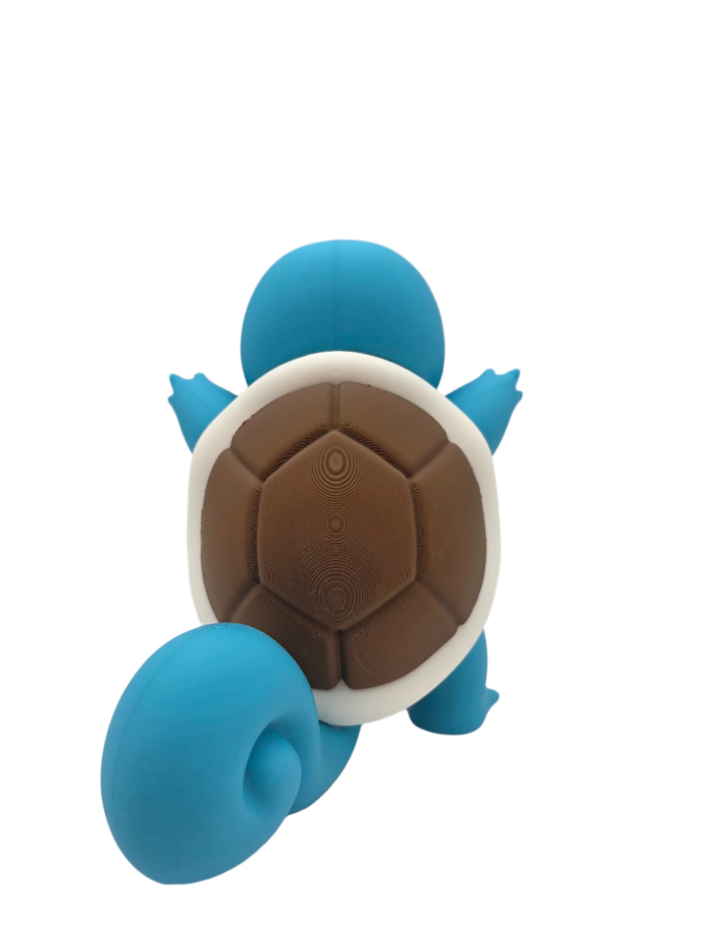 🌊Big Squirtle🌊