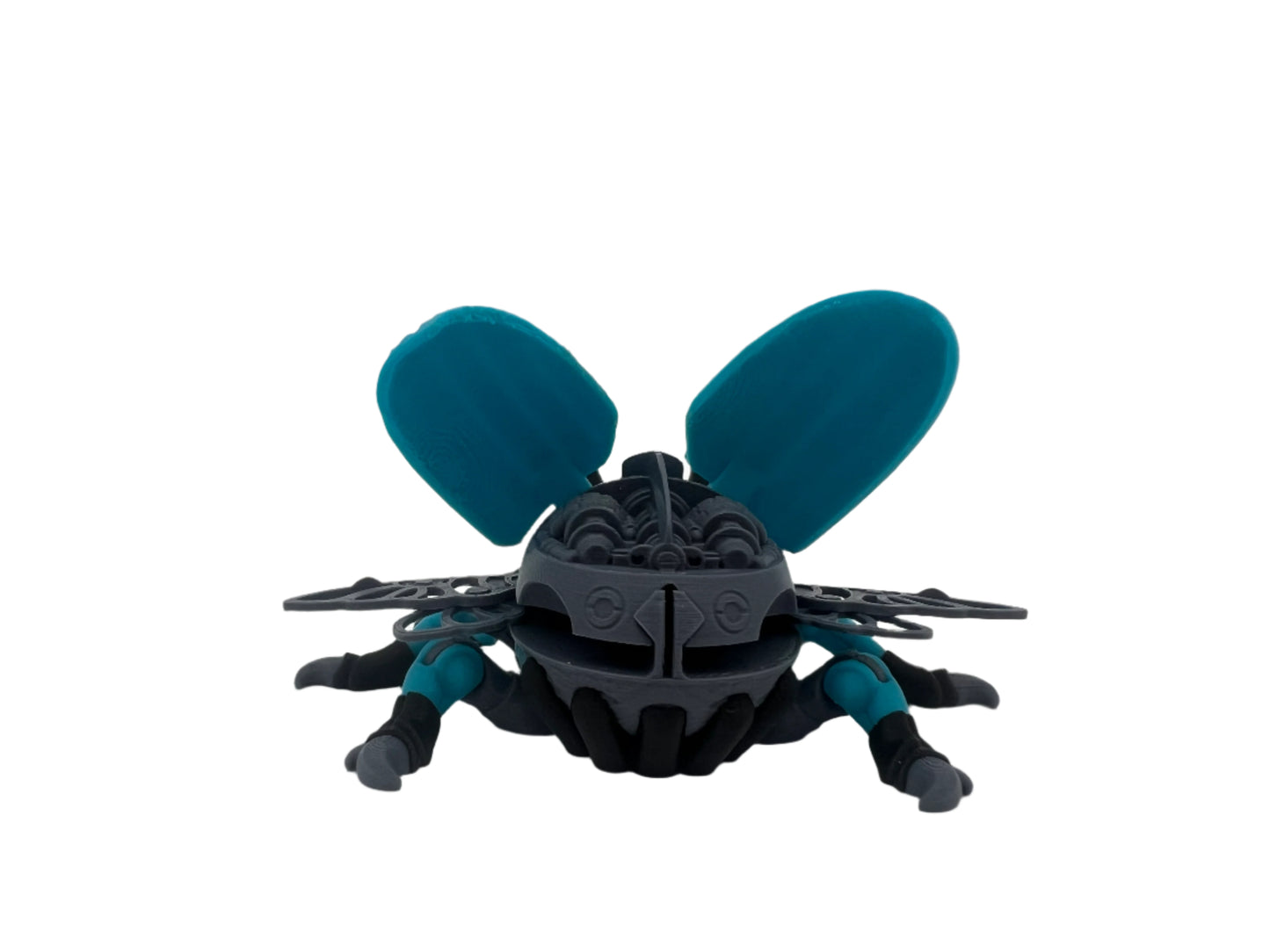 🪲Bug🪲