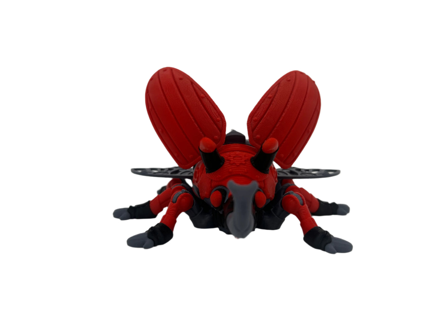 🪲Bug🪲