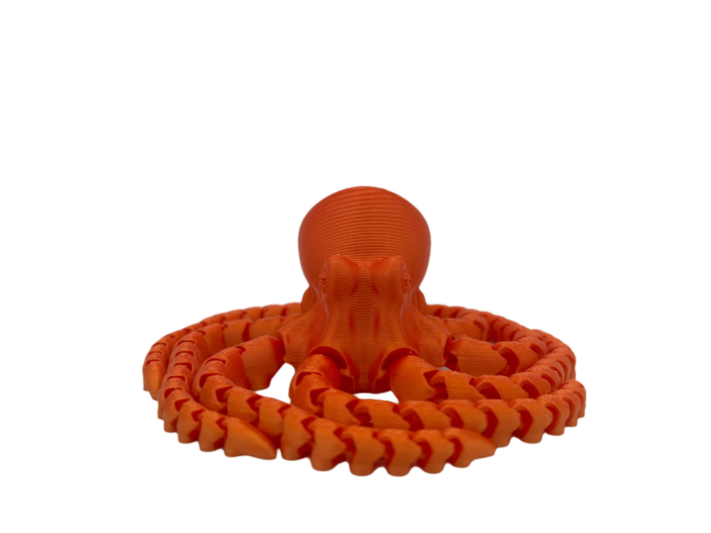 Multicolor Octopus