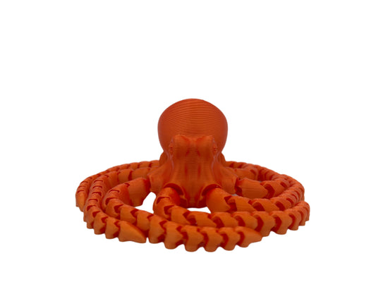 Multicolor Octopus