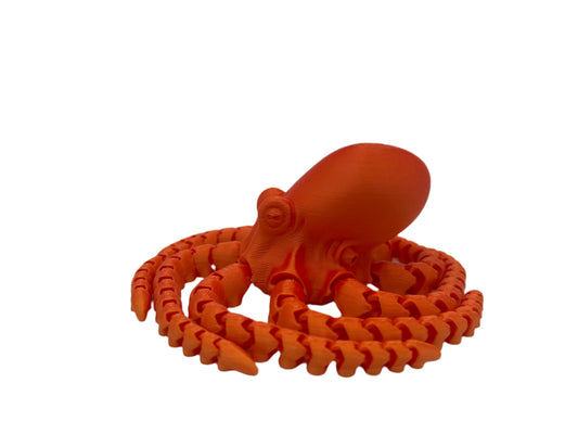 Multicolor Octopus