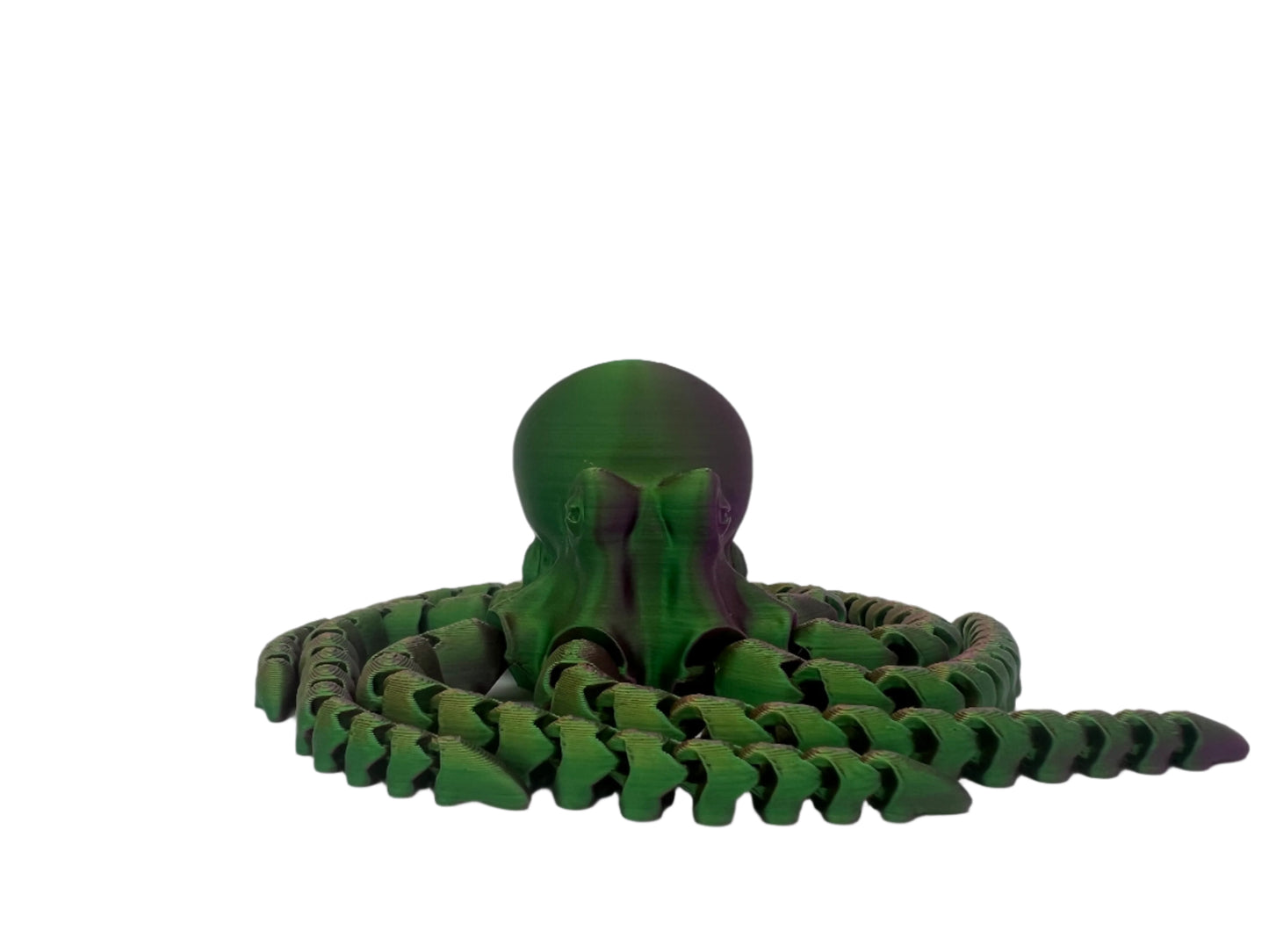 Multicolor Octopus