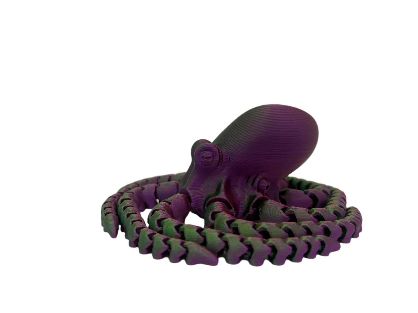 Multicolor Octopus