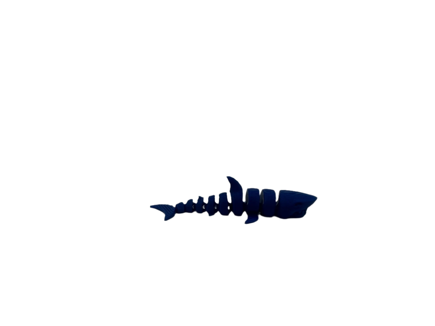 Shark