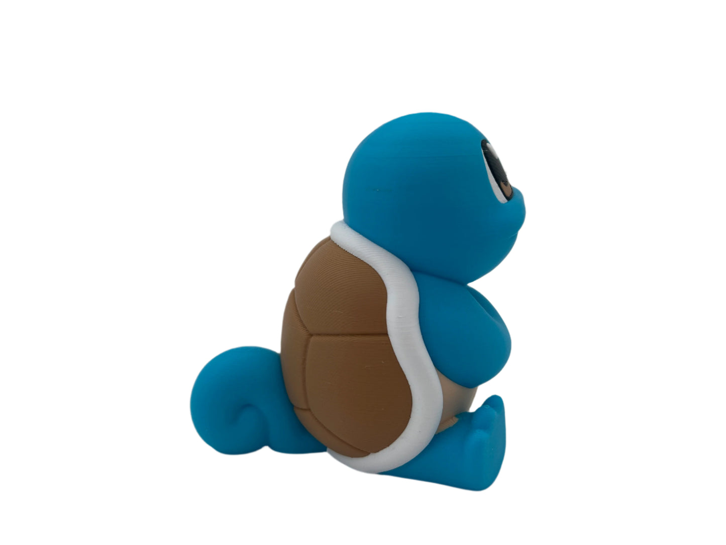 🌊Squirtle🌊