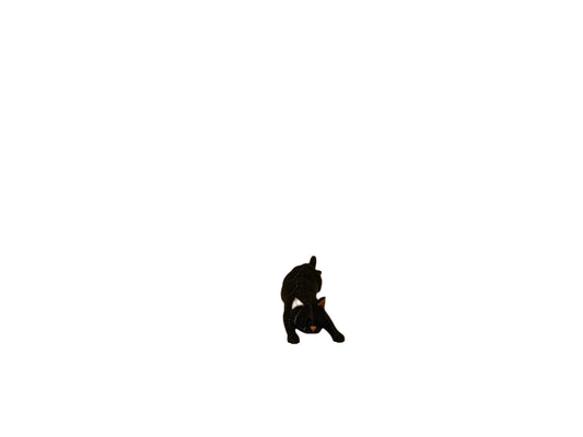 🖤Black Cat🖤