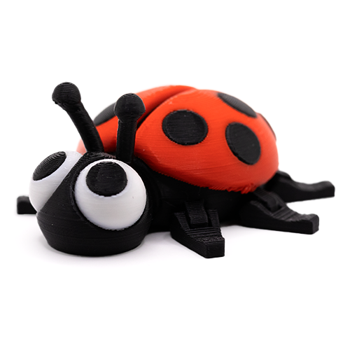 Ladybird