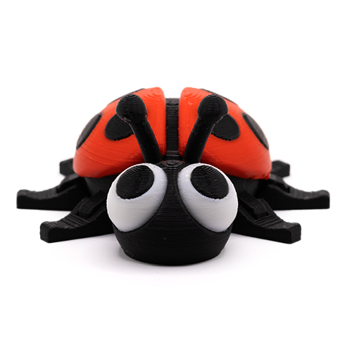 Ladybird