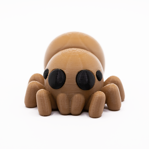 Spider