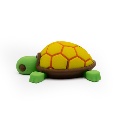 Turtle